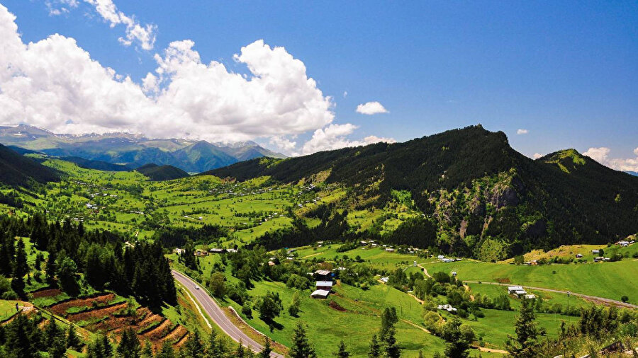 Artvin