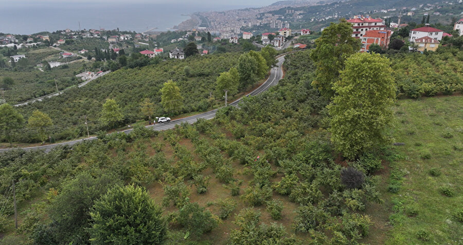 Trabzon