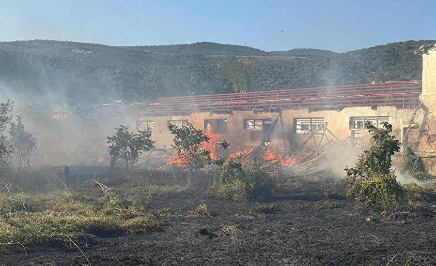 Rüzgarın etkisiyle elektrik kabloları ​koptu: Yangına ekipler müdahalede bulundu