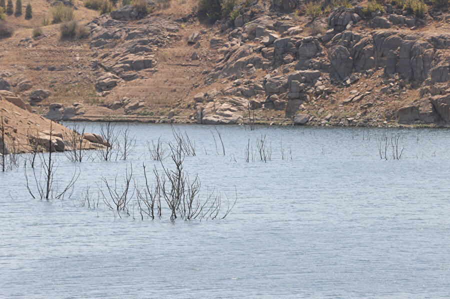 Trakya'nın barajları kuruyor: Kuraklık su seviyesini düşürdü