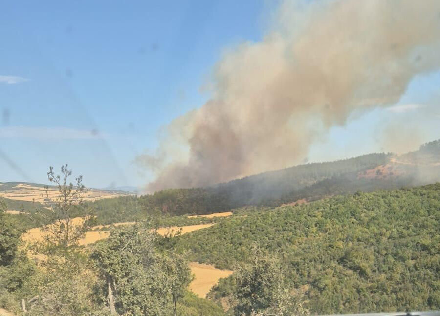 Son dakika: Çanakkale Gelibolu'da orman yangını