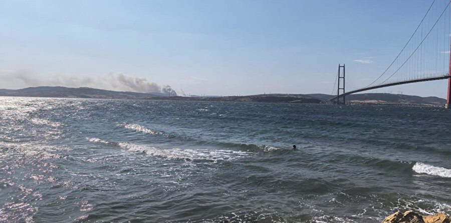 Son dakika: Çanakkale Gelibolu'da orman yangını