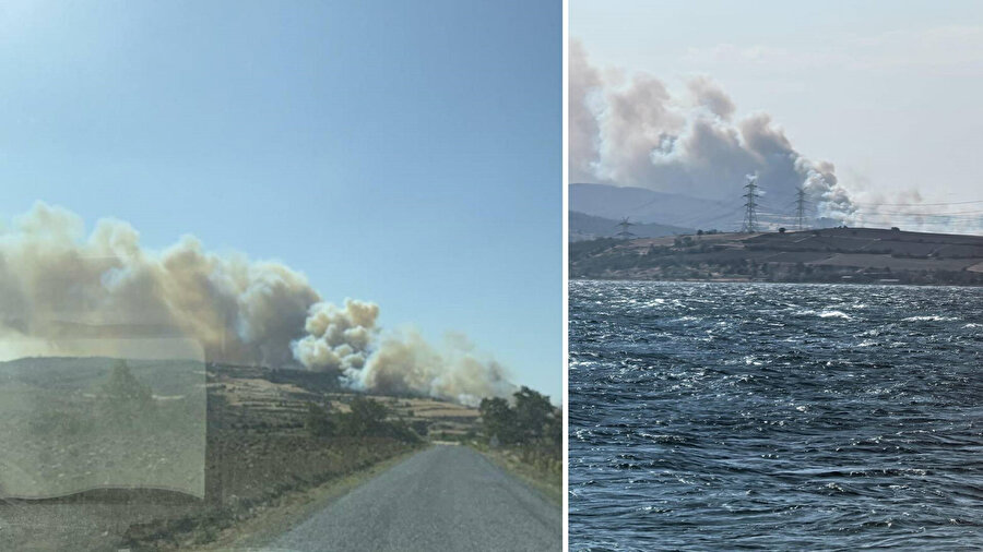 Son dakika: Çanakkale Gelibolu'da orman yangını