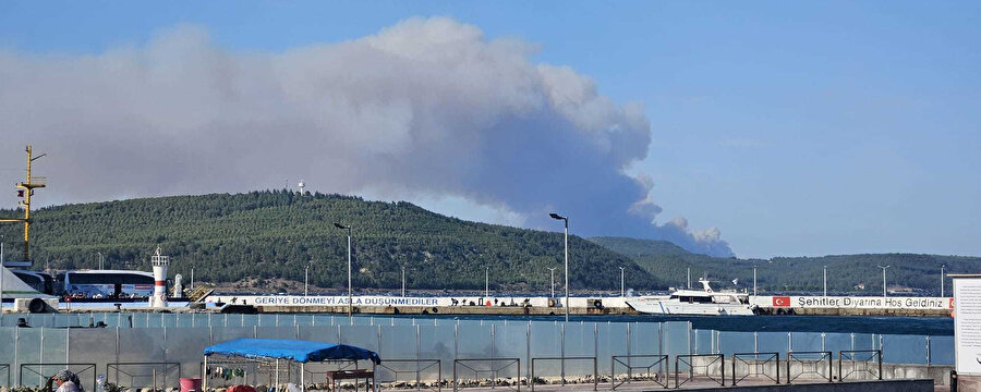 Çanakkale Gelibolu'da yangın