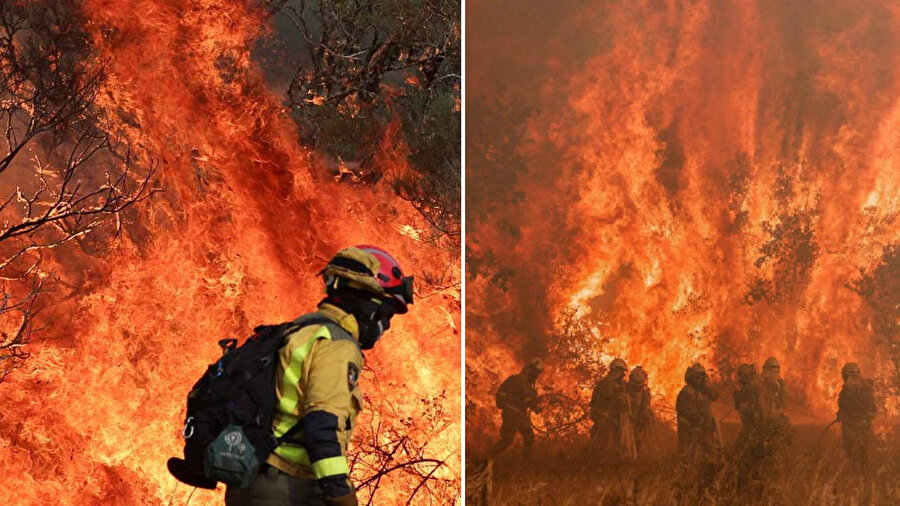 İspanya ve Portekiz'de orman yangınları