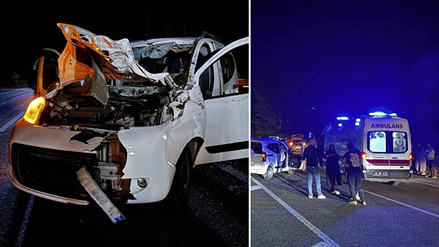 Bingöl'de ata çarpan araçtaki 1 kişi hayatını kaybetti.