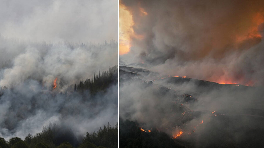 Çanakkale Gelibolu'da ormanlık alanda çıkan yangına müdahale ediliyor.