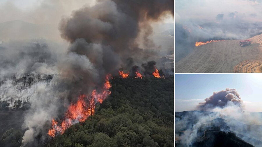 Çanakkale'de yürek yakan görüntüler: Gelibolu'daki orman yangınında yanan yerler görüntülendi