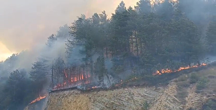 Son dakika: Bolu'da orman yangını çıktı