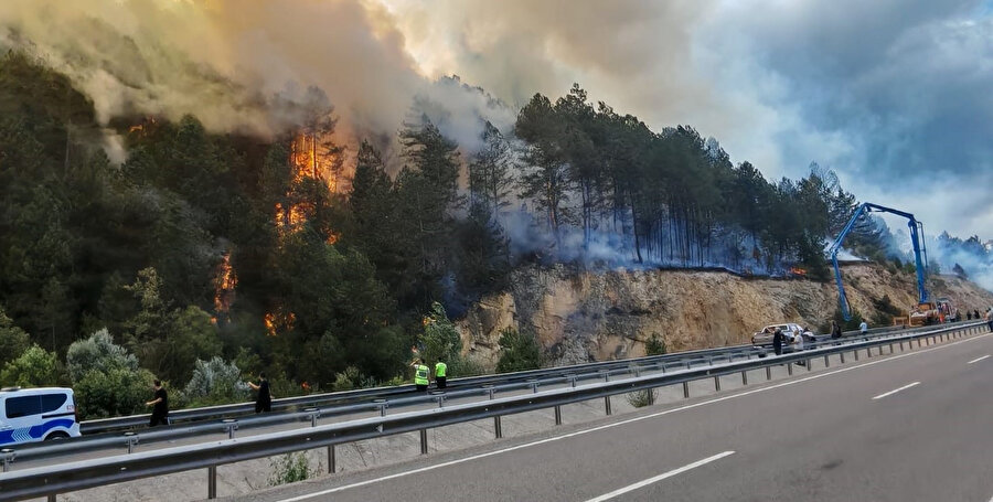 Son dakika: Bolu'da orman yangını çıktı