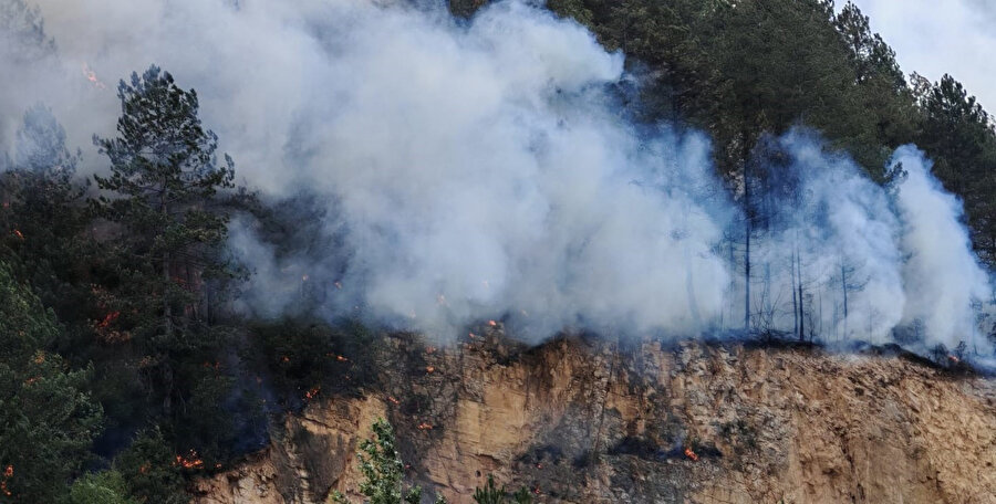 Son dakika: Bolu'da orman yangını çıktı