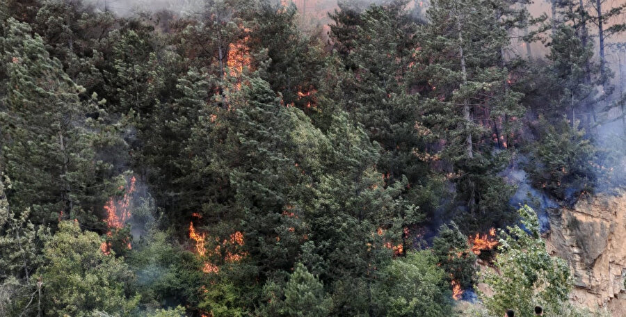 Son dakika: Bolu'da orman yangını çıktı