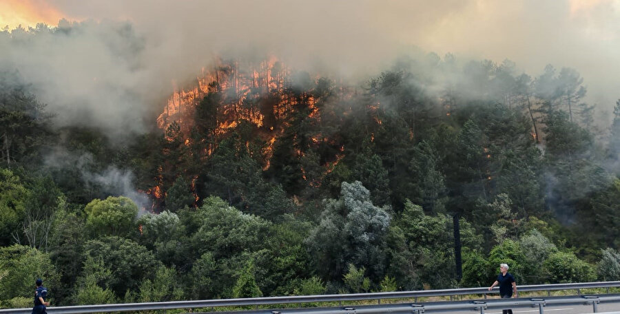 Son dakika: Bolu'da orman yangını çıktı