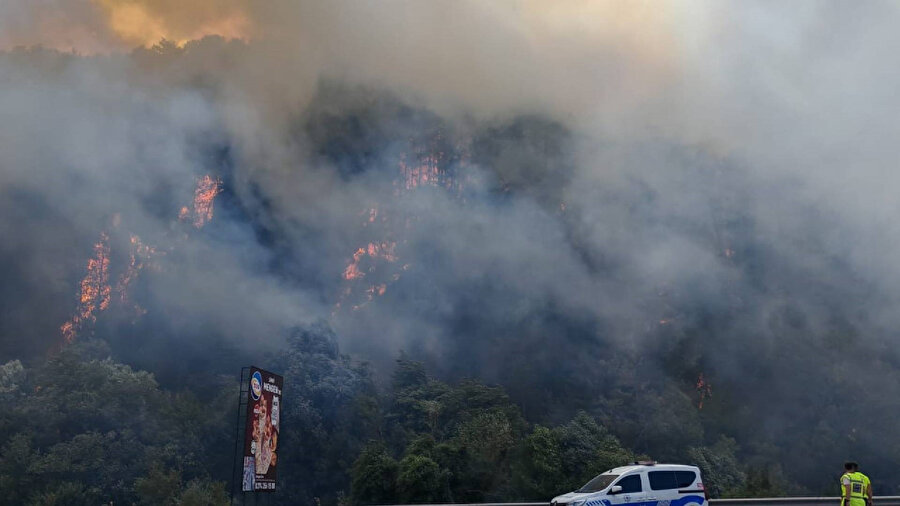 Son dakika: Bolu'da orman yangını çıktı