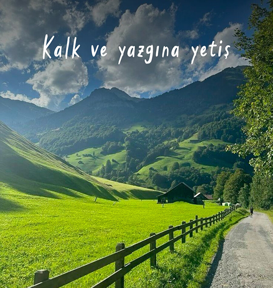 Cins'ten kalbine notlar 🐚🫧