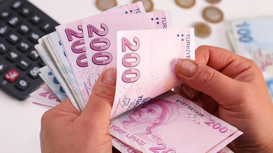 Bankalarda unutulan yaklaşık 732,1 milyon lira TMSF'ye aktarıldı