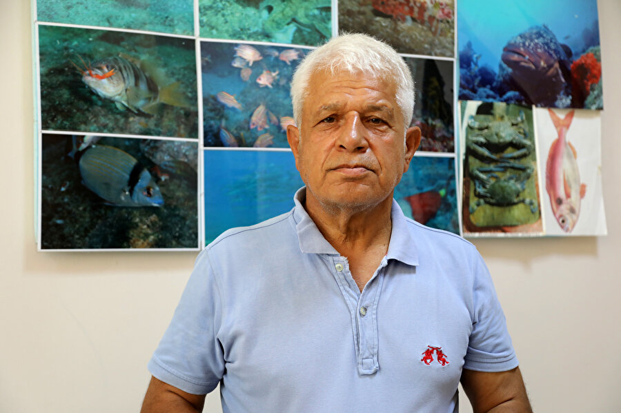 Deniz suyu sıcaklığı rekor seviyelere ulaştı: Kaşıntı ve yanma şikayetlerinde patlama yaşanıyor