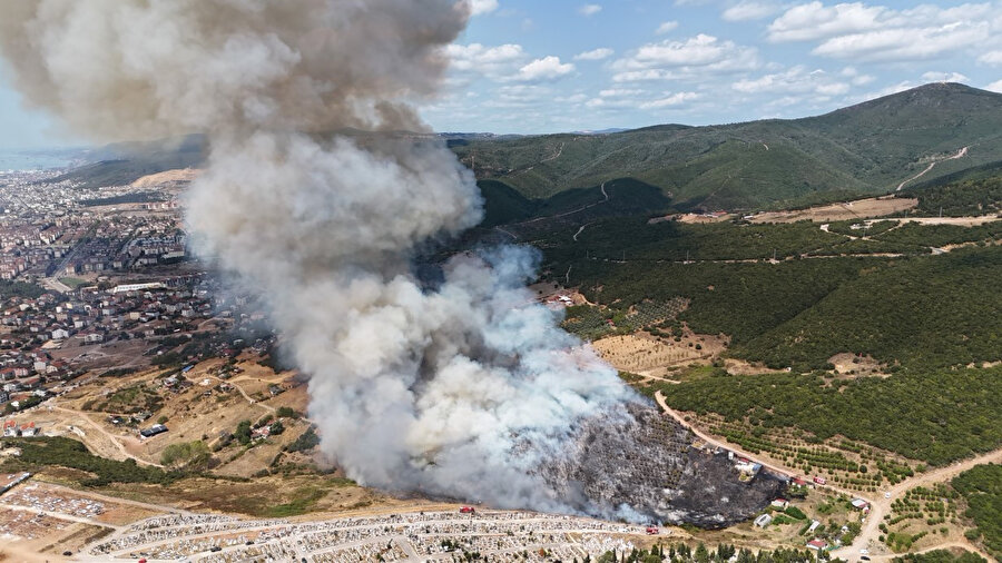 Son dakika: Kocaeli'de orman yangını