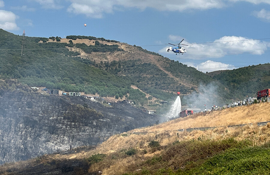 Son dakika: Kocaeli'de orman yangını