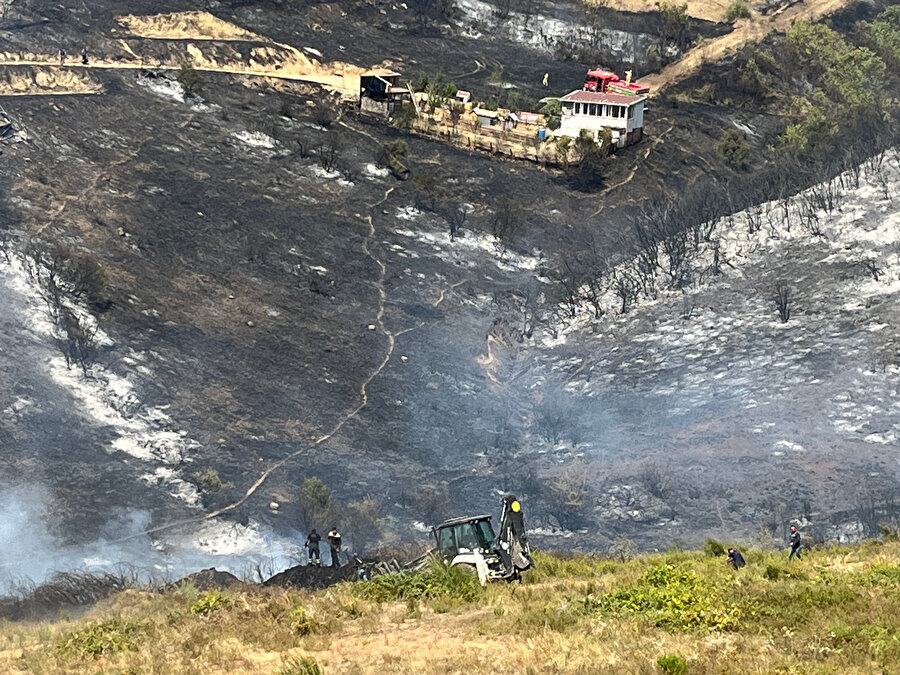 Son dakika: Kocaeli'de orman yangını