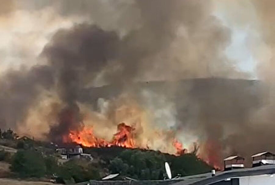 Son dakika: Kocaeli'de orman yangını