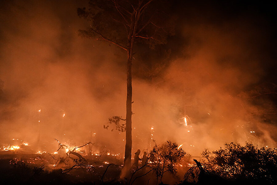 Orman yangınlarında son durum