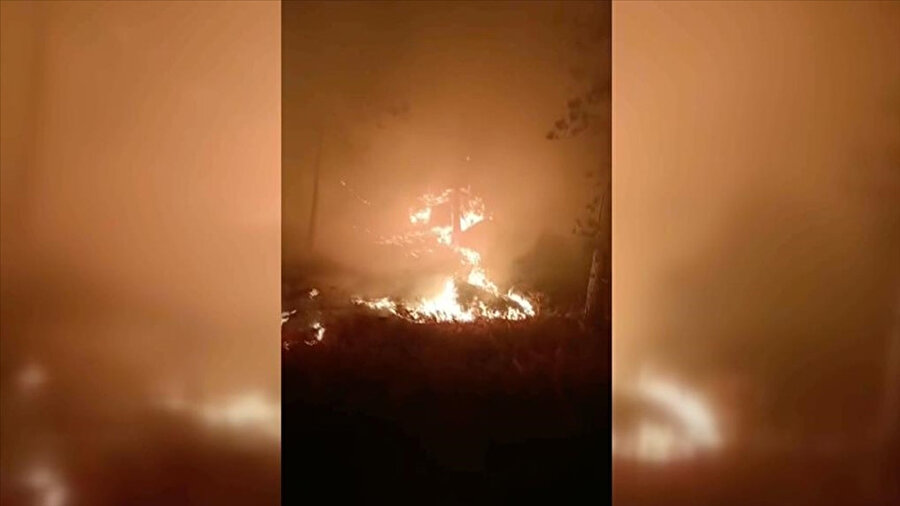 Orman yangınlarında son durum