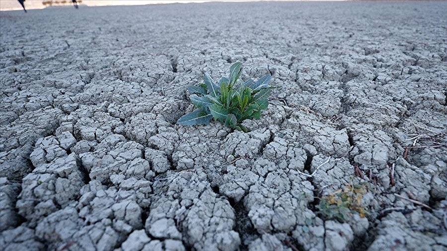 Kuraklık ve susuzluk Türkiye'yi esir aldı