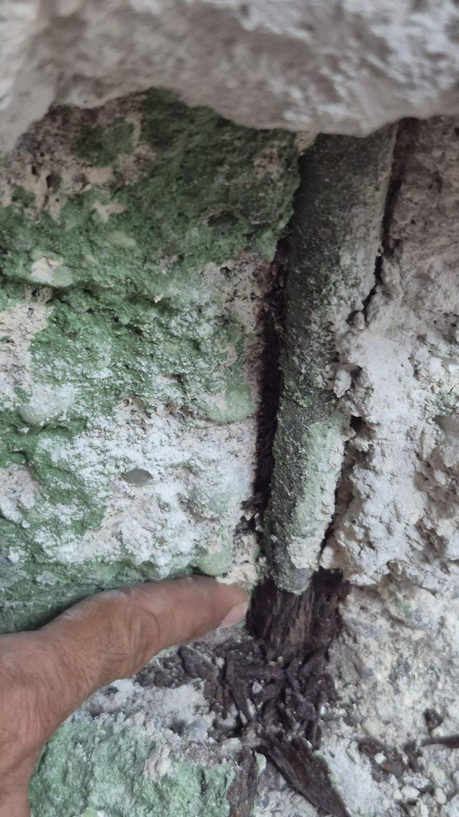 Antalya Arkeoloji Müzesi Çürük Çıktı! 50 Yıllık Kültür Mirası Depremde Ayakta Kalamaz Durumda