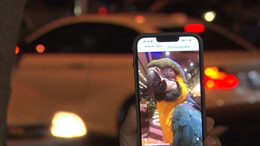 Turgut Özal'ın papağanı çalındı