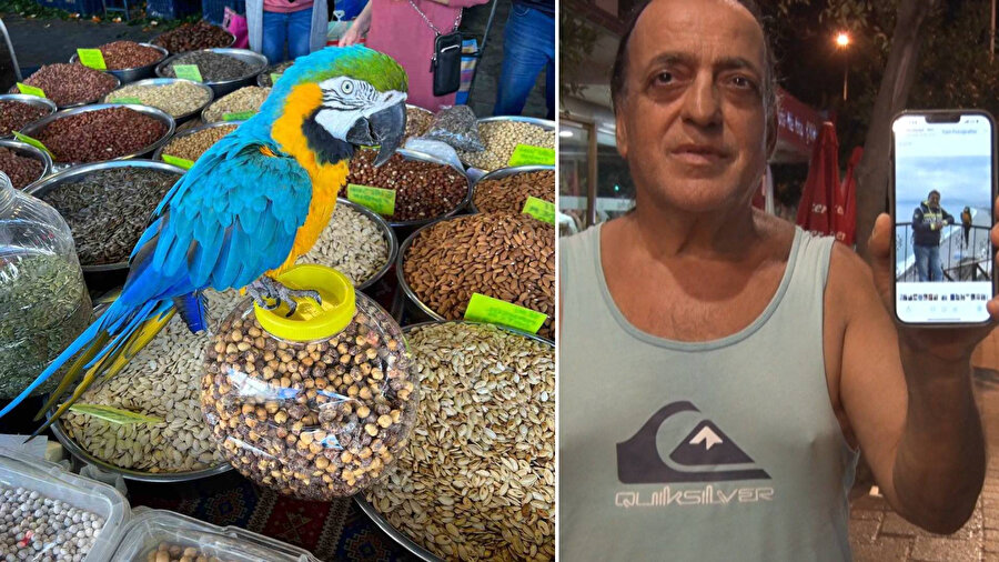 Turgut Özal'ın papağanı Cabbar çalındı