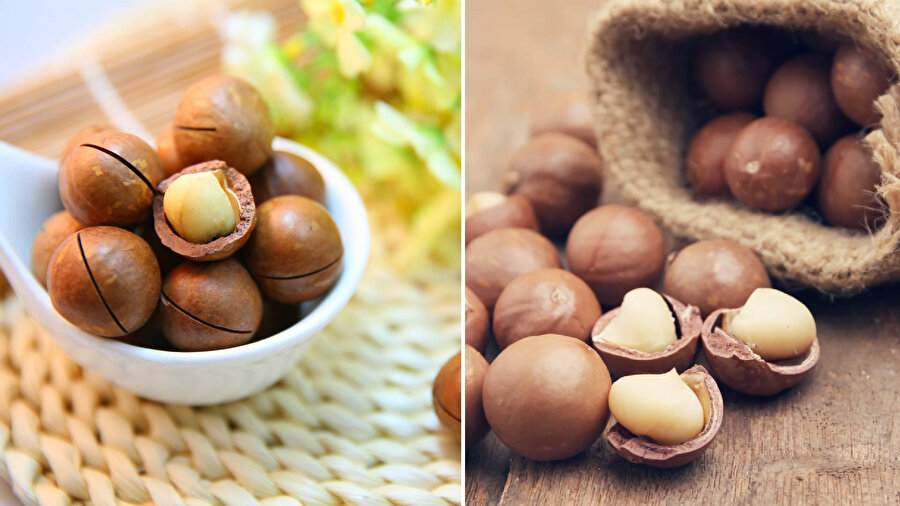 Makademya fındığı hakkında bilmeniz gerekenler: yetiştiği yerler ve özellikleri