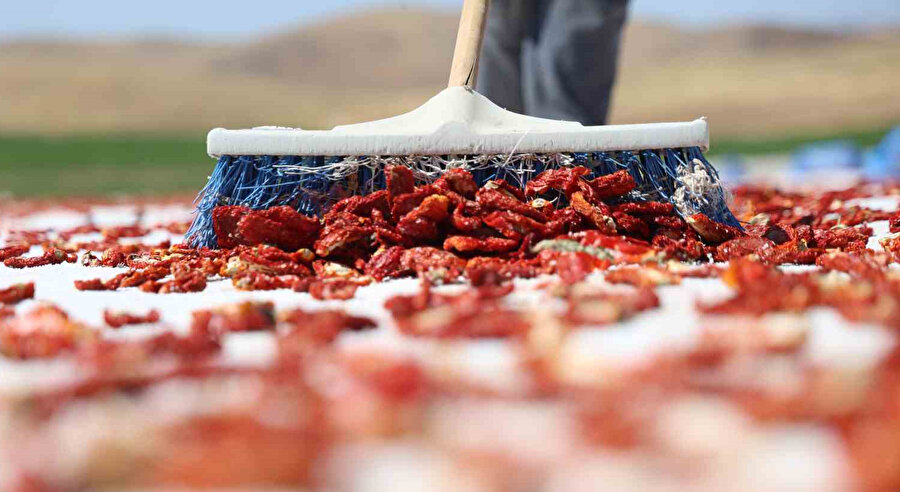 Dünya onun peşinde: Elazığ'dan ABD, Fransa ve Hollanda'ya ihraç ediliyor... Kilosu 4 euro