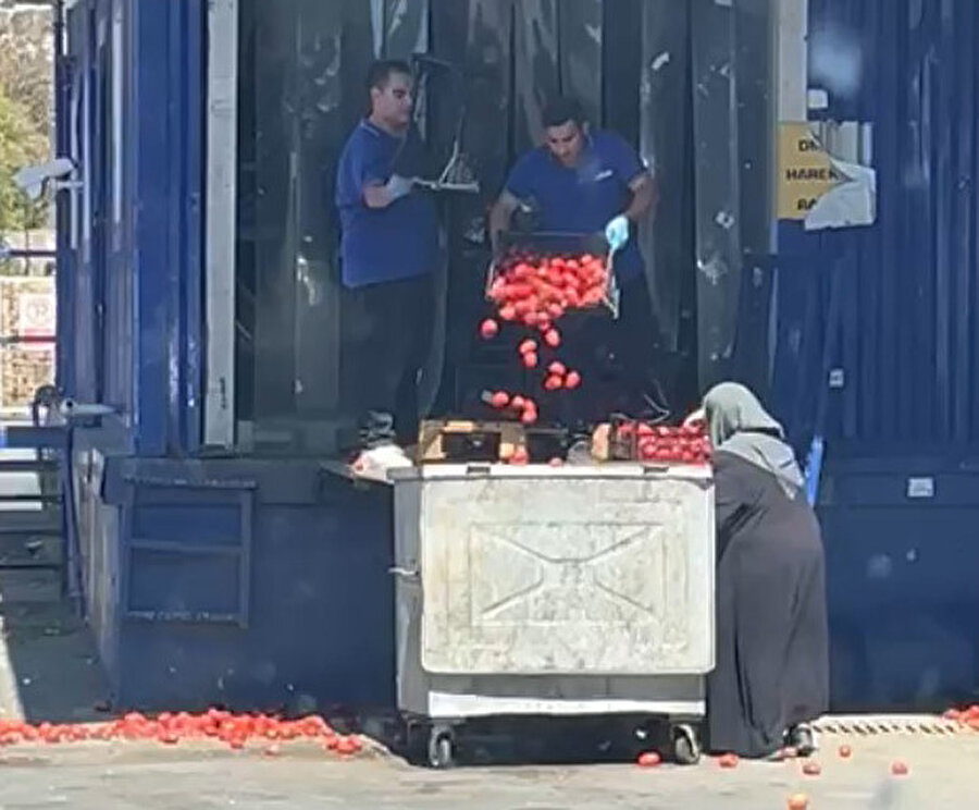 Kasalarla domatesi çöpe döktüler