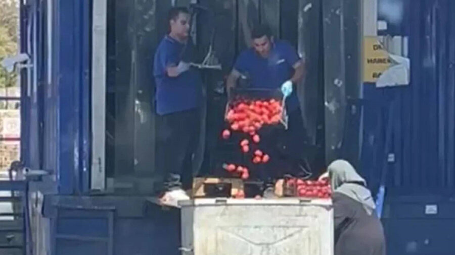 Kasalarla domatesi çöpe döktüler
