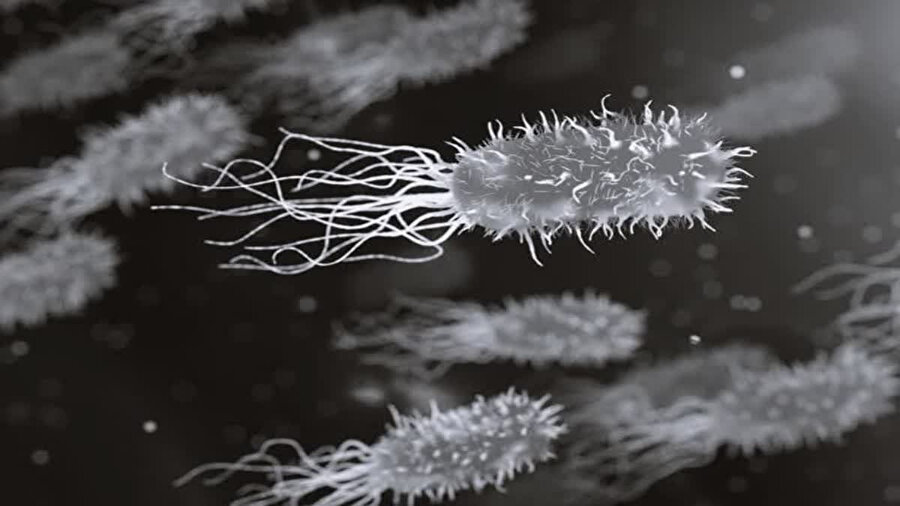 Et yiyen bakteri can alıyor