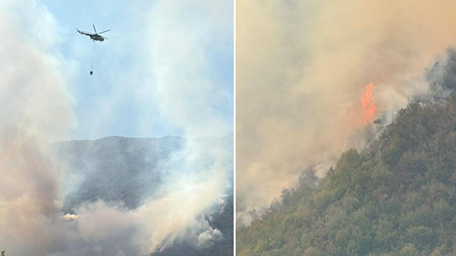 Bartın’da orman yangını çıktı.