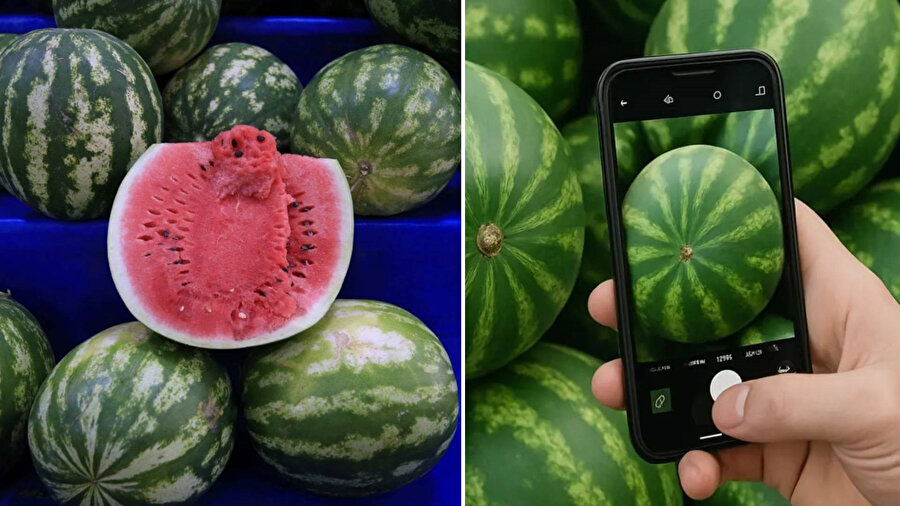 Karpuzu artık yapay zeka seçecek.