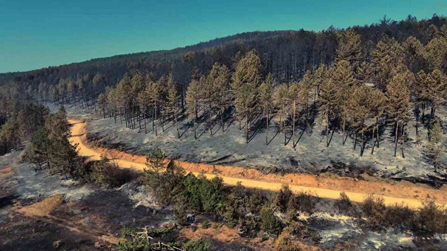 Karabük'te yanan yerler havadan görüntülendi