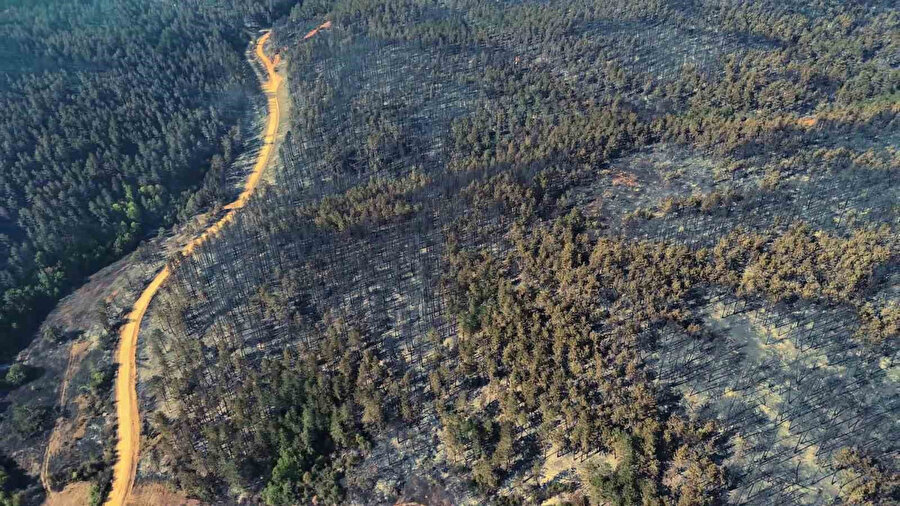 Karabük'te yanan yerler havadan görüntülendi