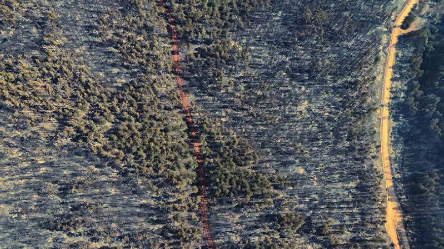 Karabük'te yanan yerler havadan görüntülendi