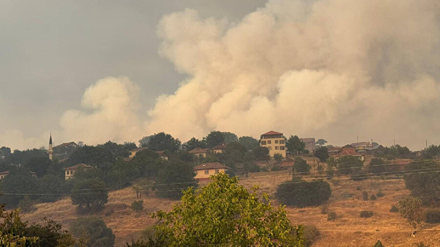 Kastamonu'da orman yangını