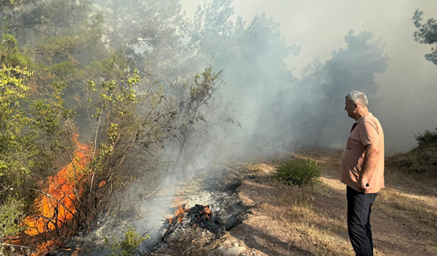 Kastamonu'da orman yangını