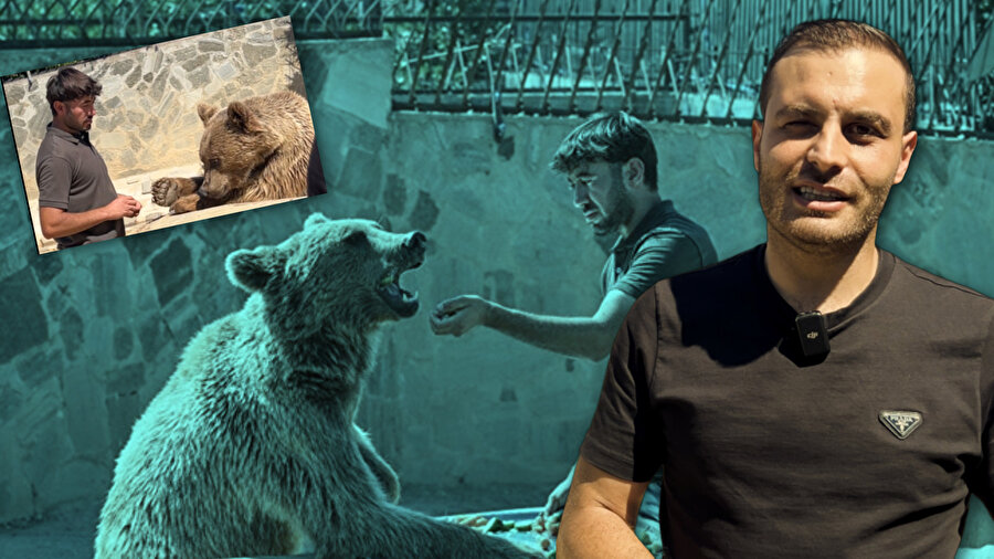 Ayı Okan haberi kapak fotoğrafı