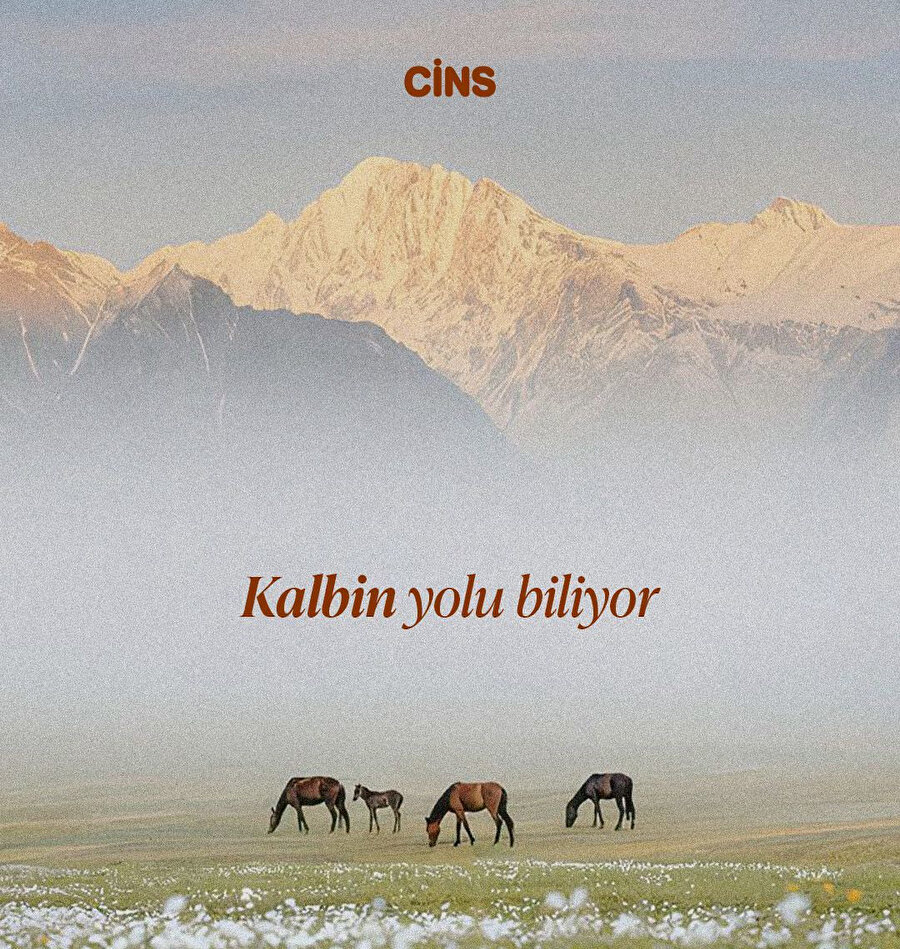 Kalbin yolu biliyor✨