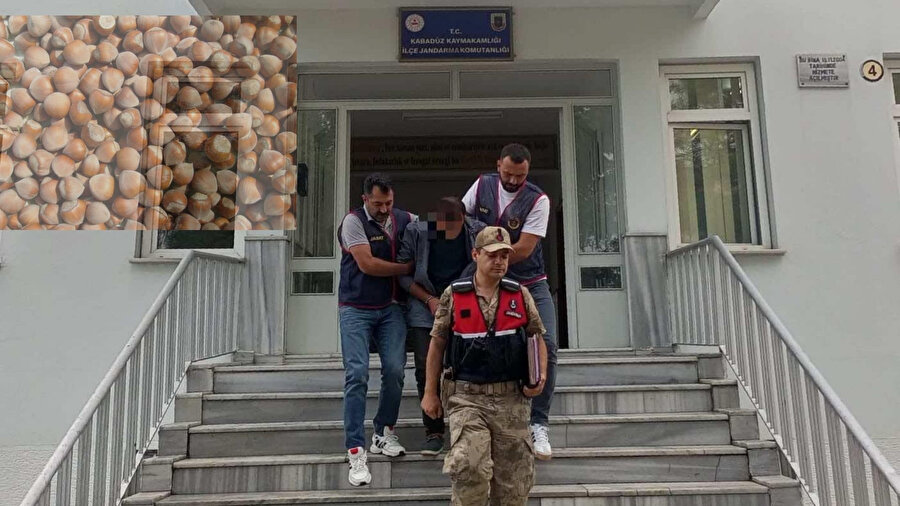1,5 ton fındık çalan hırszı yakalanarak tutuklandı