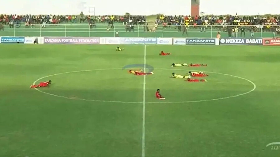 Maç esnasında ilginç anlar: Arılardan korunmak için sahada hareketsiz kaldılar