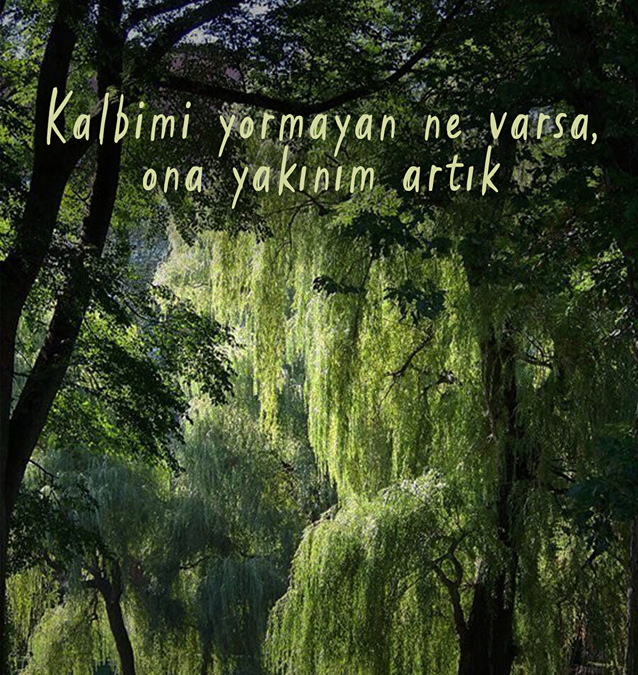 Kalbi tazeleyen cümleler ✨