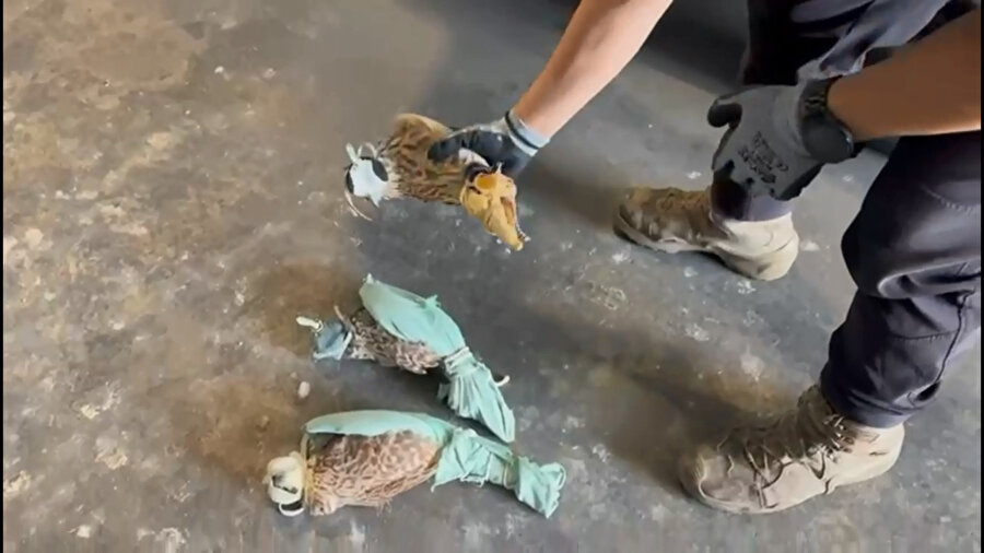 Habur Sınır Kapısı