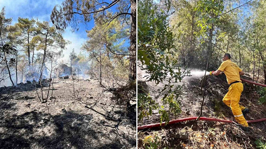 Adana’da orman yangını çıktı: Ekipler müdahale ediyor